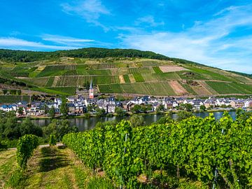 View of Bremm on the Mosel, Germany by Ruurd Dankloff