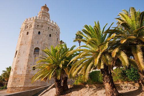 La tour de guet de la Torre del Oro à Séville