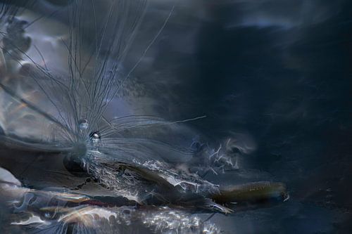 Blauw Abstract Waterdruppel Paardenbloempluis