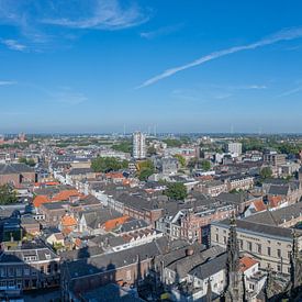 Panoramablick auf Den Bosch von Jan Heijmans