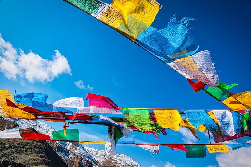 Waving prayer flags on the Tibetan plateau by Rietje Bulthuis