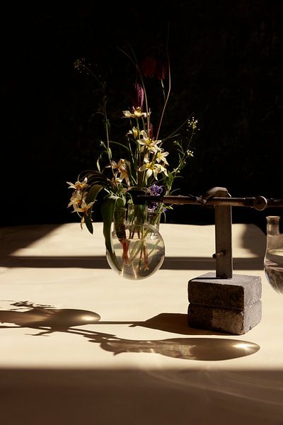 Wildflowers by Laura Knipsael