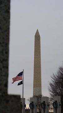 Washington Monument, Washington, Verenigde Staten van Joost Jongeneel