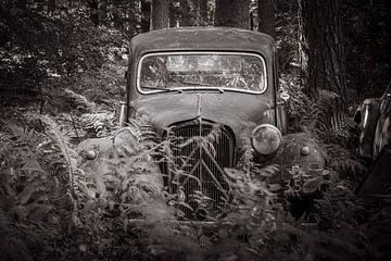 Une voiture ancienne abandonnée dans la forêt. sur Patrick Löbler