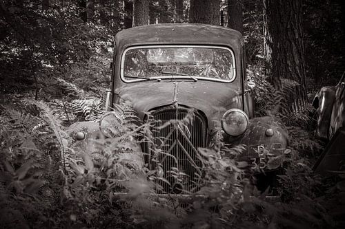 An abandoned vintage car in the forest.