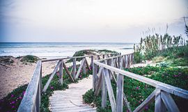 strandpad van chris mees