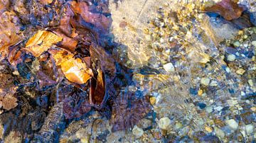 L'eau courante, le Helbeek, le Plasmill sur Jeroen Hoogakker