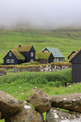 Îles Féroé | paysage | architecture