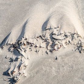 Natürliche Sandstrukturen.... von Maja Mars