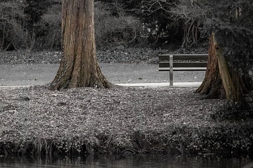 Rustige parkscène met bank van Leonidas Ladinskis