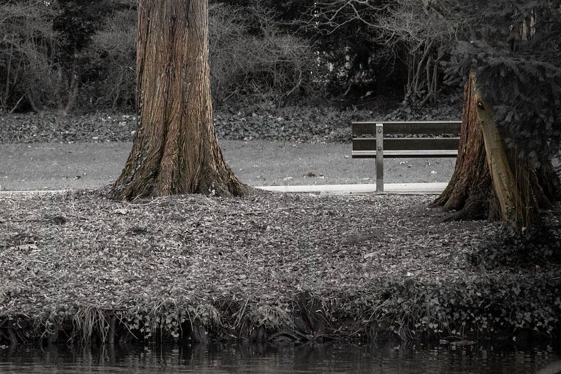 Tranquil Park Scene with Bench by Leonidas Ladinskis