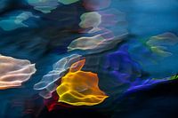 Ode to Swarovski in the water