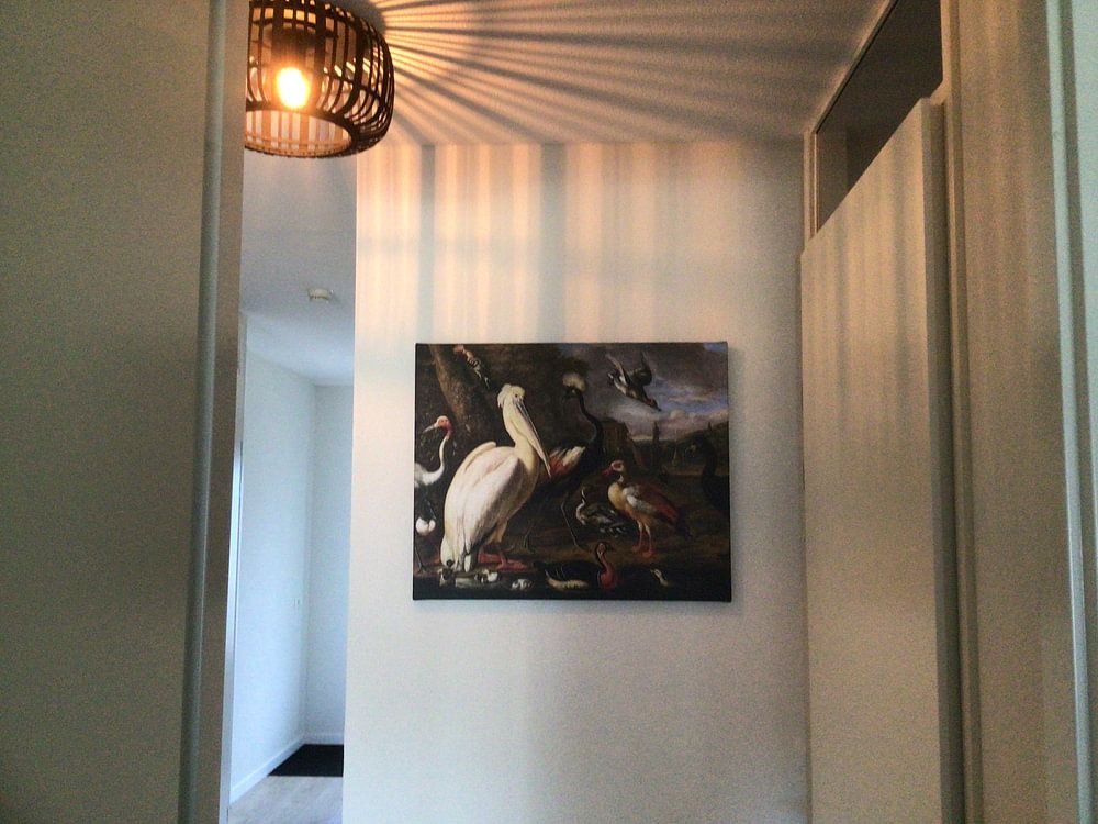 A pelican and other birds by the water, Associate of Melchior de Hondecoeter 