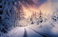 Promenade d'hiver