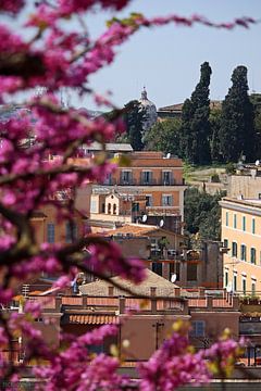 Rome ... eternal city XV van Meleah Fotografie