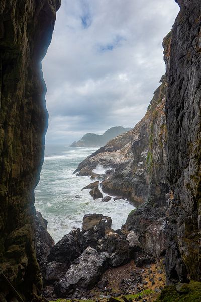 Sea Lion Caves by Tashina van Zwam