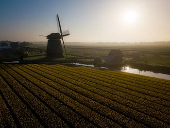 Goedemorgen vanuit Noord-Holland