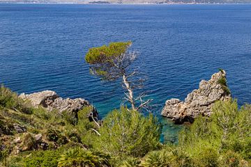 Kustlandschap voor het schiereiland La Victoria in Mallorca van Reiner Conrad
