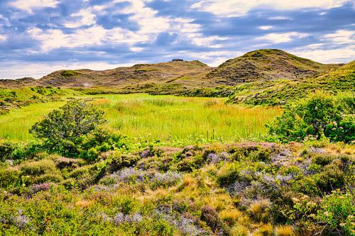 Landschaft Texel Loodsmansduin
