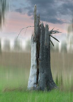 Être vu sur LANETfotografie