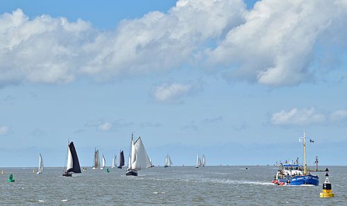 Veel schepen op de Waddenzee