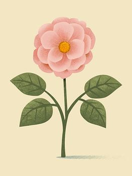 Damaszener Rose, botanische Illustration im minimalistischen Stil