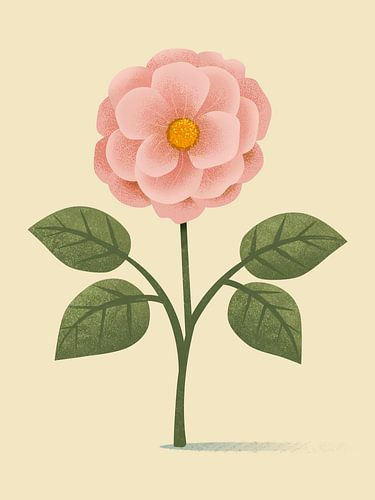 Rose de Damas, illustration botanique de style minimaliste sur Eduard Broekhuijsen