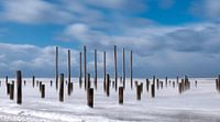Plage Petten