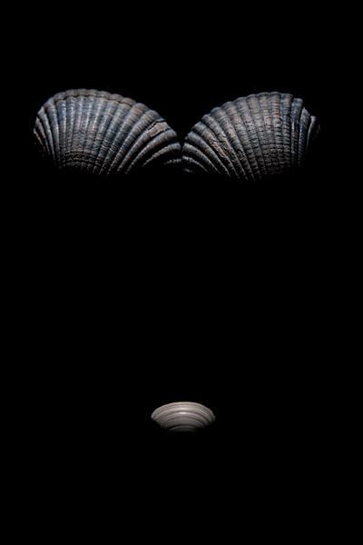 Bikini par Geert-Jan Timmermans