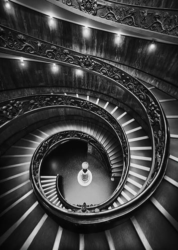 Zum neuen Zuhause...