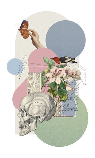 Memento Mori by Marja van den Hurk