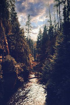 La nature à l'état pur à Bad Schandau - Gorge de Kirnitzsch sur Jakob Baranowski - Photography - Video - Photoshop