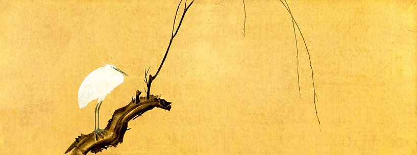 Japan Schilf von Mad Dog Art