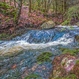 Beneden stromend rivier tussen de natuur van Nature Life Ambience