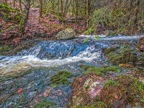 Beneden stromend rivier tussen de natuur