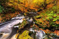 Herfst beek met groene rotsblokken van Karla Leeftink thumbnail
