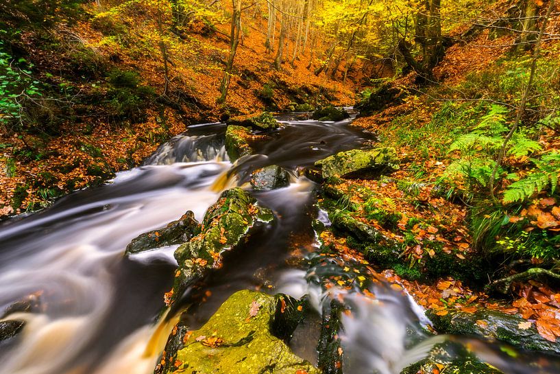 Herbststrom mit grünen Felsbrocken von Karla Leeftink