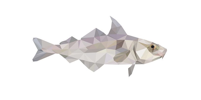 Schellfisch von Ramon Schellevis