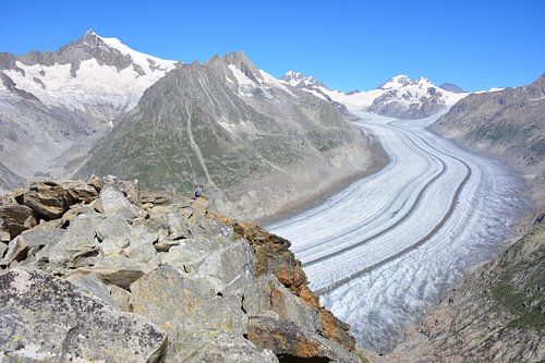 Uitzicht op de Aletschgletsjer en Jungfrau Zwitserland