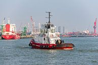 Sleepboot Texelbank Rotterdam. von Brian Morgan Miniaturansicht