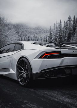 Monochrome Masterpiece by John Dan