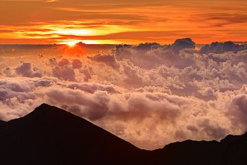 Zonsopkomst Haleakala Nationaal Park, Maui, Hawaii