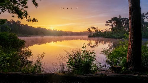 Morgenlicht am Ufer des Wassers von Antoine van de Laar