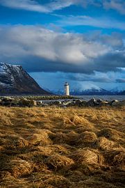 Der Frühling liegt endlich in der Luft, Leuchtturm Høgstein, Godøy, Norwegen von qtx