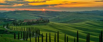 Zonsondergang in het groene voorjaarslandschap in Toscane