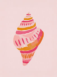 coloured shell by mathieu jeu