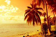 Tropischer Sonnenuntergang mit Strand- und Palmen von iPics Photography Miniaturansicht