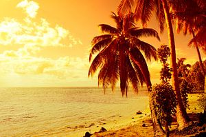 Tropische zonsondergang met strand en palmbomen