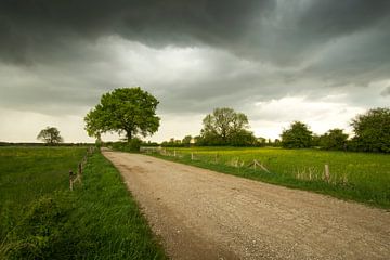 Typische Niederlande von Jan Koppelaar