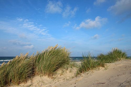 Strandaufgang im Herbst